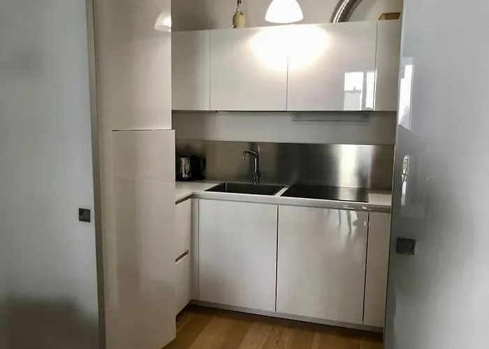 Apartment Downtown Florence, Moderno Con Giardino